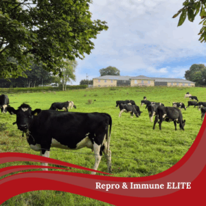 Repro & Immune Elite